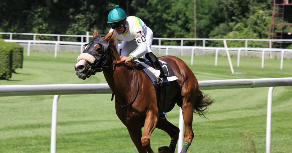 How to Plan a Kentucky Derby Sports Casino Party